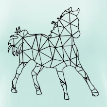 Geometria - kôň Geometria - kôň