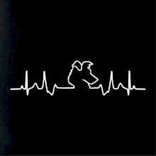 Borderská kólia EKG