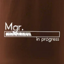 In progress titul Mgr. magister / magistra