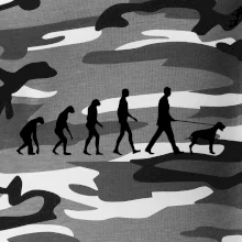 Evolúcia pes stavač Evolúcia pes stavač