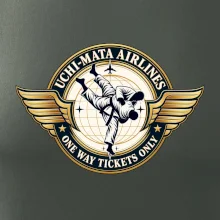 Uchi mata airlines one way tickets only