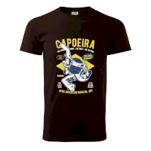Capoeira  Afro-brazil art