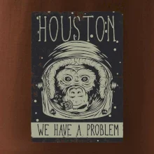 Houston we have a problem