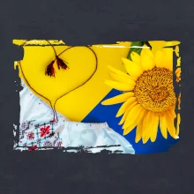 Ukrajina slnečnice a kroj Ukrajina slnečnice a kroj