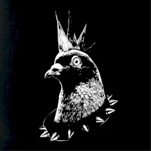 Holub punk Holub punk