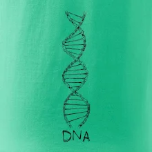 Cyklistovo DNA