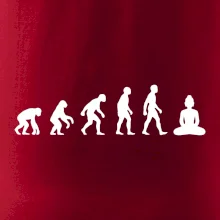 Evoluce budha Evoluce budha