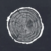 Letokruhy 70 bez veku