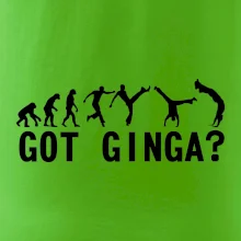 Capoeira - Got Ginga