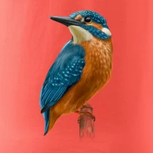 Ľadnáčik kreslený Ľadnáčik kreslený