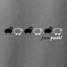 Som pasák - ovce v rade