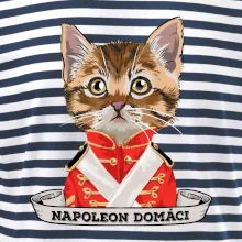 Napoleon domáci mačka
