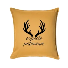 Harry - Expecto patronum Harry - Expecto patronum