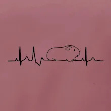 EKG morča EKG morča