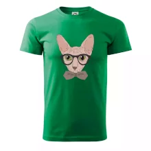 Hipster sphynx Hipster sphynx