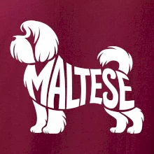 Maltézsky psík nápis v tele