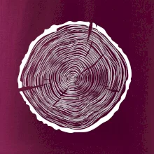 Letokruhy 55 bez veku