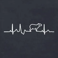 Ekg Capybara Ekg Capybara
