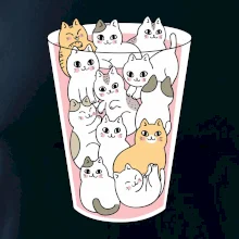 Mačky v pohári Mačky v pohári