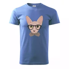 Hipster sphynx