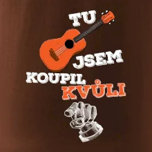 Když koupíš kytaru