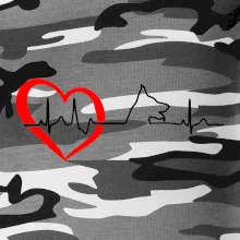 Nemecký ovčiak ekg Nemecký ovčiak ekg