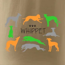 Whippet farebný
