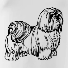 Shih-tzu - chlpatý Shih-tzu - chlpatý