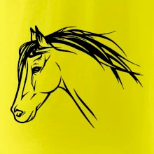 Kôň - hlava celá Kôň - hlava celá