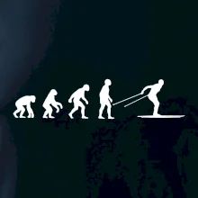 Evolúcia behu - bežky Evolúcia behu - bežky