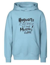 Harry - Hogwarts wasn’t hiring, so I teach Muggles instead