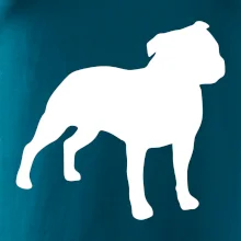 Americký stafordšírsky teriér Na prsníku