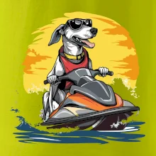 Chrt na vodnom skútri