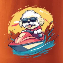 Lhasa Apso na vodnom skútri