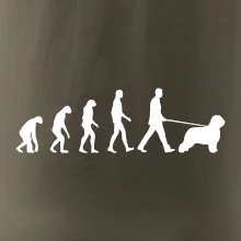 Evolúcia pes Briard