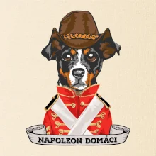 Napoleon domáci kríženec