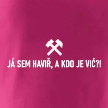 JÁ SEM HAVIŘ, A KDO JE VIĆ?!﻿