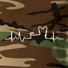 Yorkshirský teriér EKG Yorkshirský teriér EKG