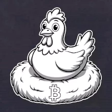 Kurča sediace na bitcoinovom hniezde