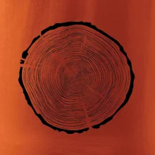 Letokruhy 85 bez veku