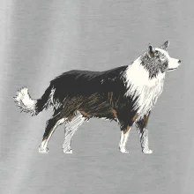 Border kólia kreslená