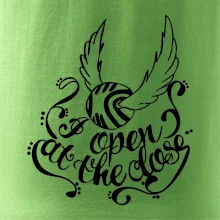 Harry - Zlatá strela