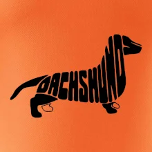 Jazvečík - Dachshund