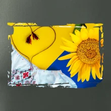 Ukrajina slnečnice a kroj Ukrajina slnečnice a kroj