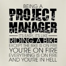 Being A Project Manager - bike