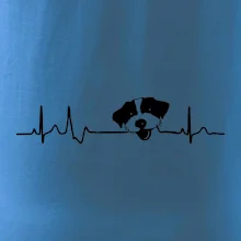 Jack Russell Teriér hrubosrstý Ekg