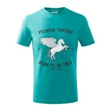 Pegasus fantasy