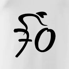 Cyklista oslavuje sedemdesiatku (70)