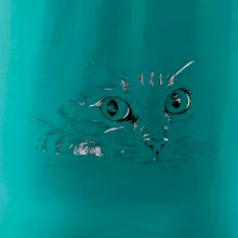 Mačka tvár kresba Mačka tvár kresba