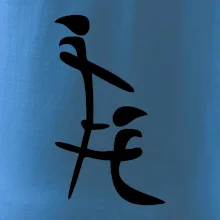 Čínský znak Čínský znak